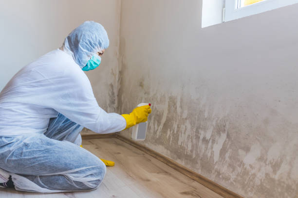 Licensed Bathroom Mold Removal service in Linden, VA - WQB Mold Removal
